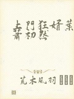 上门狂婿叶辰和萧初然封面