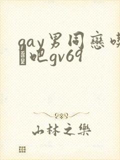 gay男同恋吃鳮吧gv69封面
