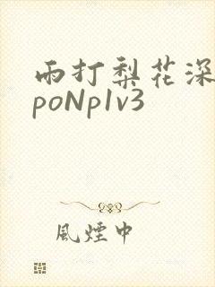 雨打梨花深闭门poNp1v3封面