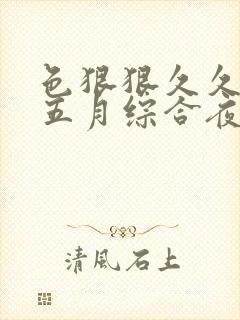 色狠狠久久av五月综合夜夜嗨