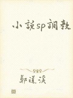 小说sp调教