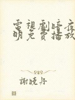 电视剧暗夜与黎明免费播放