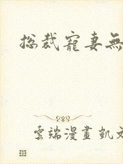 总裁宠妻无度