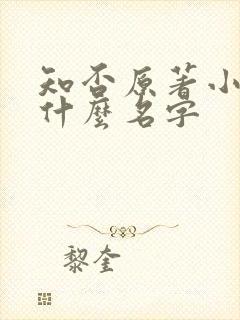 知否原著小说叫什么名字