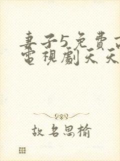 妻子5免费高清电视剧天天影视封面