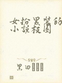女扮男装的现代小说校园