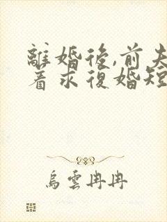 离婚后,前夫哭着求复婚短剧