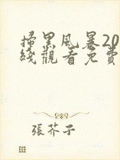 扫黑风暴20在线观看免费完整版2021封面