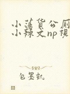 小荡货公厕h文小辣文np视频封面