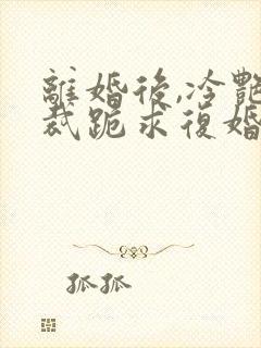 离婚后,冷艳总裁跪求复婚免费看封面