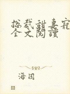 总裁甜妻宠上瘾全文阅读封面