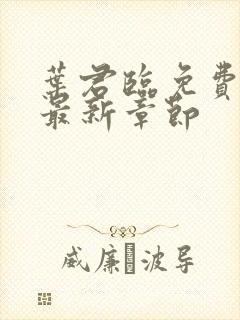 叶君临免费阅读最新章节封面