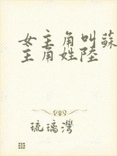 女主角叫苏念男主角姓陆