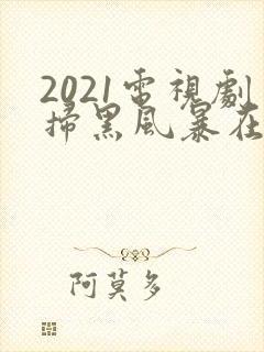 2021电视剧扫黑风暴在线观看22集