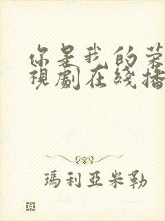 你是我的荣耀电视剧在线播放免费观看