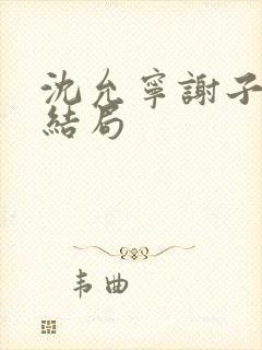 沈允宁谢子寻大结局封面
