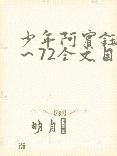 少年阿宾钰慧1～72全文目录免费阅读
