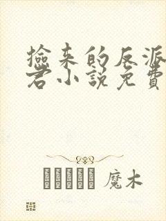 捡来的反派成夫君小说免费阅读