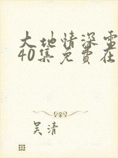 大地情深电视剧40集免费在线观看