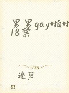 男男gay啪啪18禁