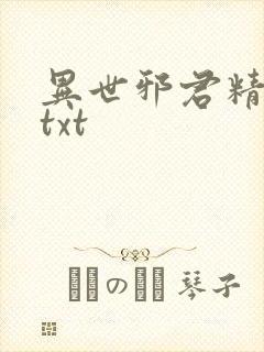 异世邪君精校版txt