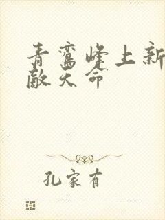 青鸾峰上新书无敌天命