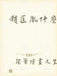 赵匡胤什么关系