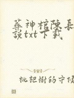 葬神棺陈长安小说txt下载