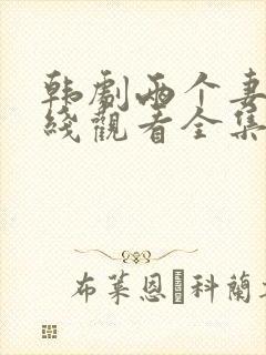 韩剧两个妻子在线观看全集免费