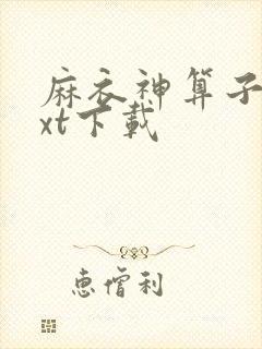 麻衣神算子最txt下载