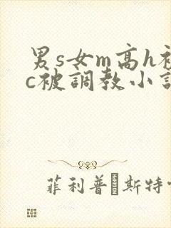男s女m高h被c被调教小说封面
