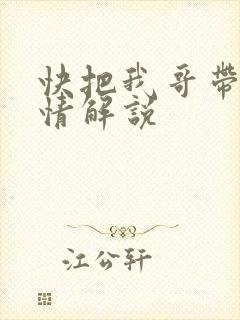 快把我哥带走剧情解说