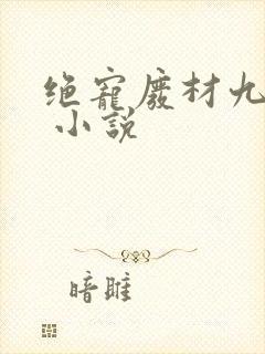绝宠废材九小姐 小说封面