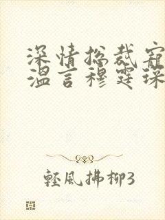 深情总裁宠不停温言穆霆琛
