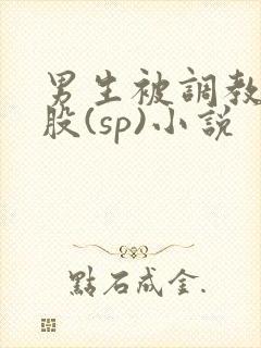 男生被调教打屁股(sp)小说封面