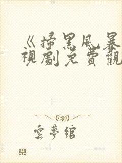 《扫黑风暴》电视剧免费观看封面