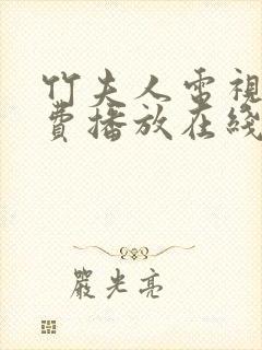 竹夫人电视剧免费播放在线观看