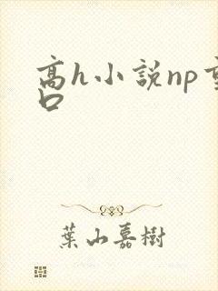 高h小说np重口