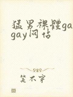 猛男裸体gaygay网站
