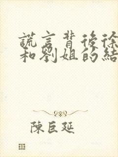 谎言背后徐伟豪和刘姐的结局