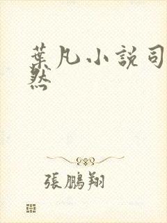 叶凡小说司空嫣然