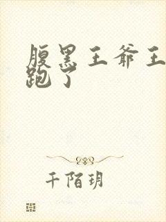 腹黑王爷王妃又跑了封面