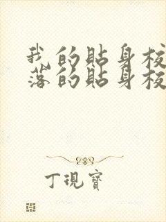 我的贴身校花堕落的贴身校花改编小说封面