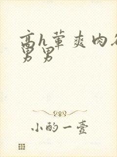 高h荤爽肉欲文男男