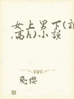 女上男下(调教,高h)小说封面