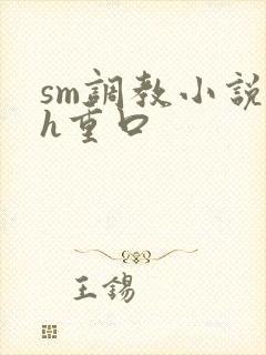 sm调教小说高h重口