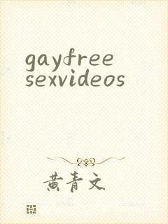 gayfreesexvideos封面