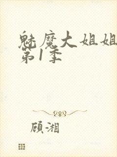 魅魔大姐姐动漫第1季封面
