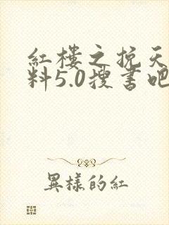 红楼之挽天倾加料5.0搜书吧