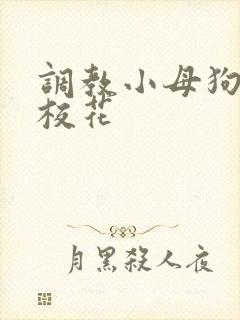 调教小母狗辣文校花